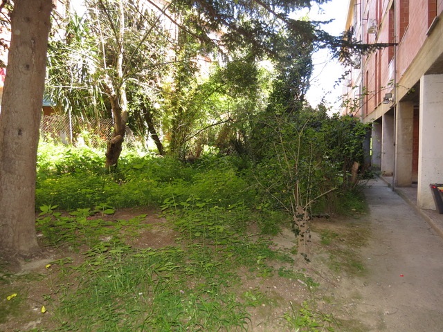 Cagliari zona Parco S. Michele quadrivano con cantina