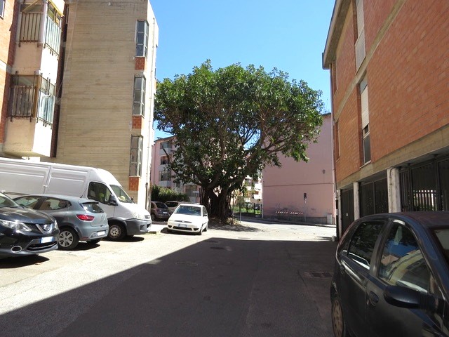 Cagliari zona Parco S. Michele quadrivano con cantina